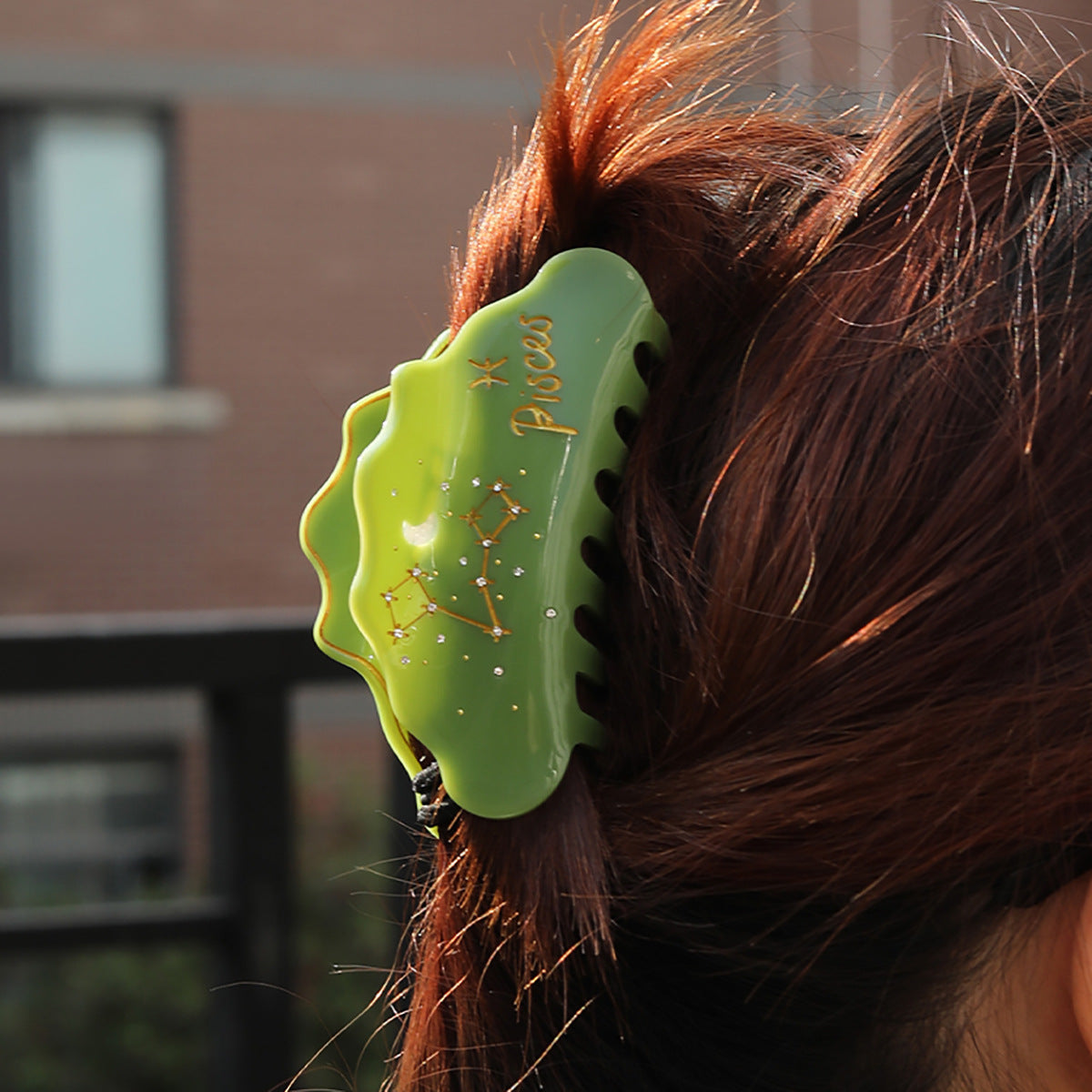 Cross-Border E-Commerce Twelve Zodiac Hairpin Temperament Shark Clip Acetate New Hot Sale