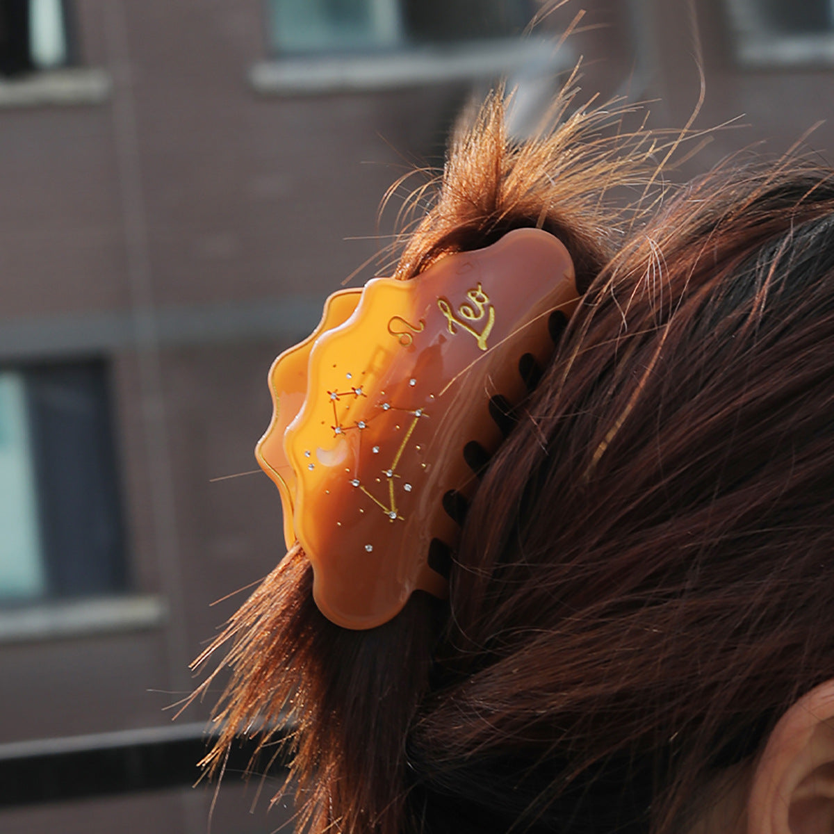 Cross-Border E-Commerce Twelve Zodiac Hairpin Temperament Shark Clip Acetate New Hot Sale