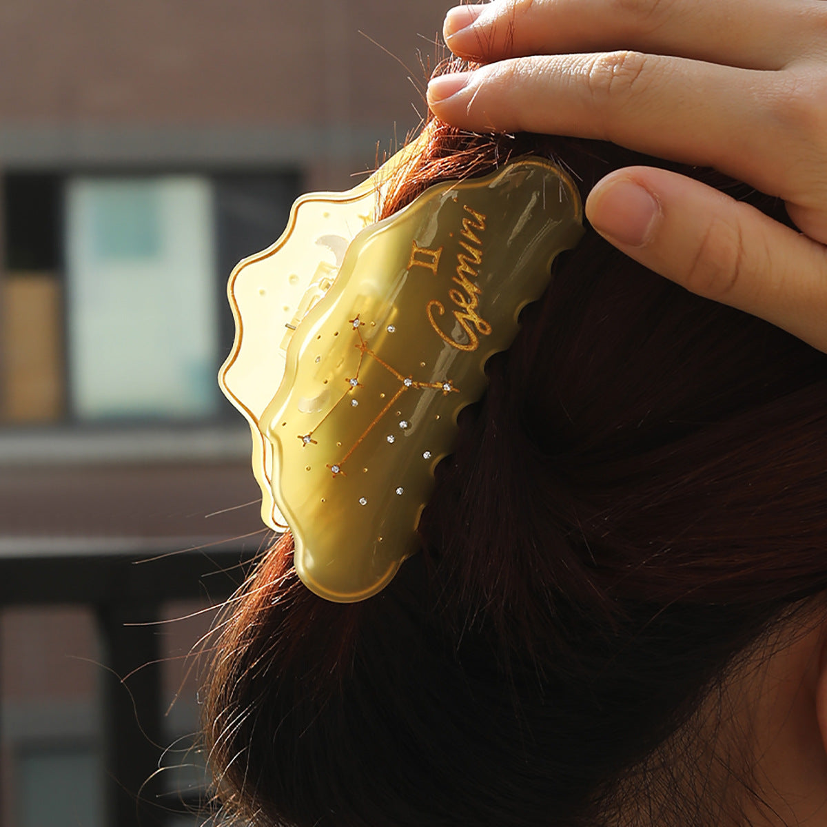 Cross-Border E-Commerce Twelve Zodiac Hairpin Temperament Shark Clip Acetate New Hot Sale