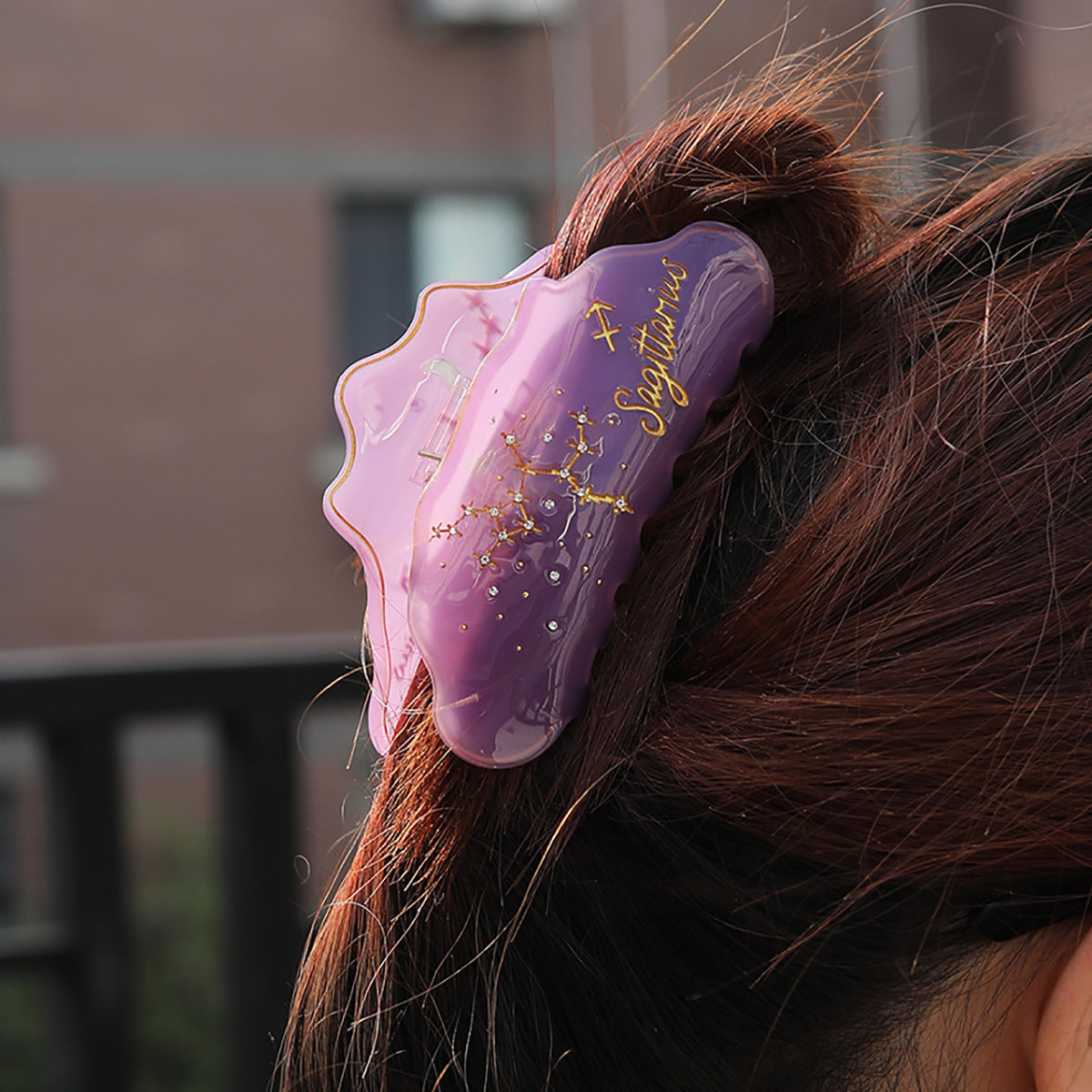 Cross-Border E-Commerce Twelve Zodiac Hairpin Temperament Shark Clip Acetate New Hot Sale