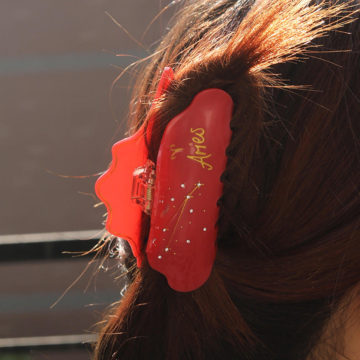 Cross-Border E-Commerce Twelve Zodiac Hairpin Temperament Shark Clip Acetate New Hot Sale