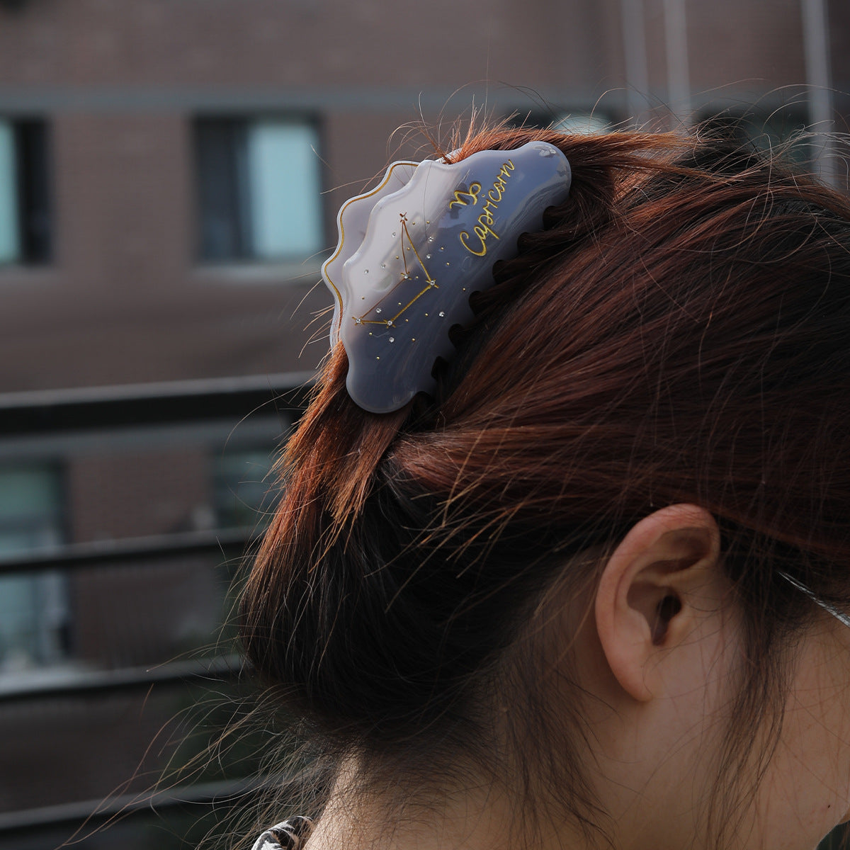 Cross-Border E-Commerce Twelve Zodiac Hairpin Temperament Shark Clip Acetate New Hot Sale