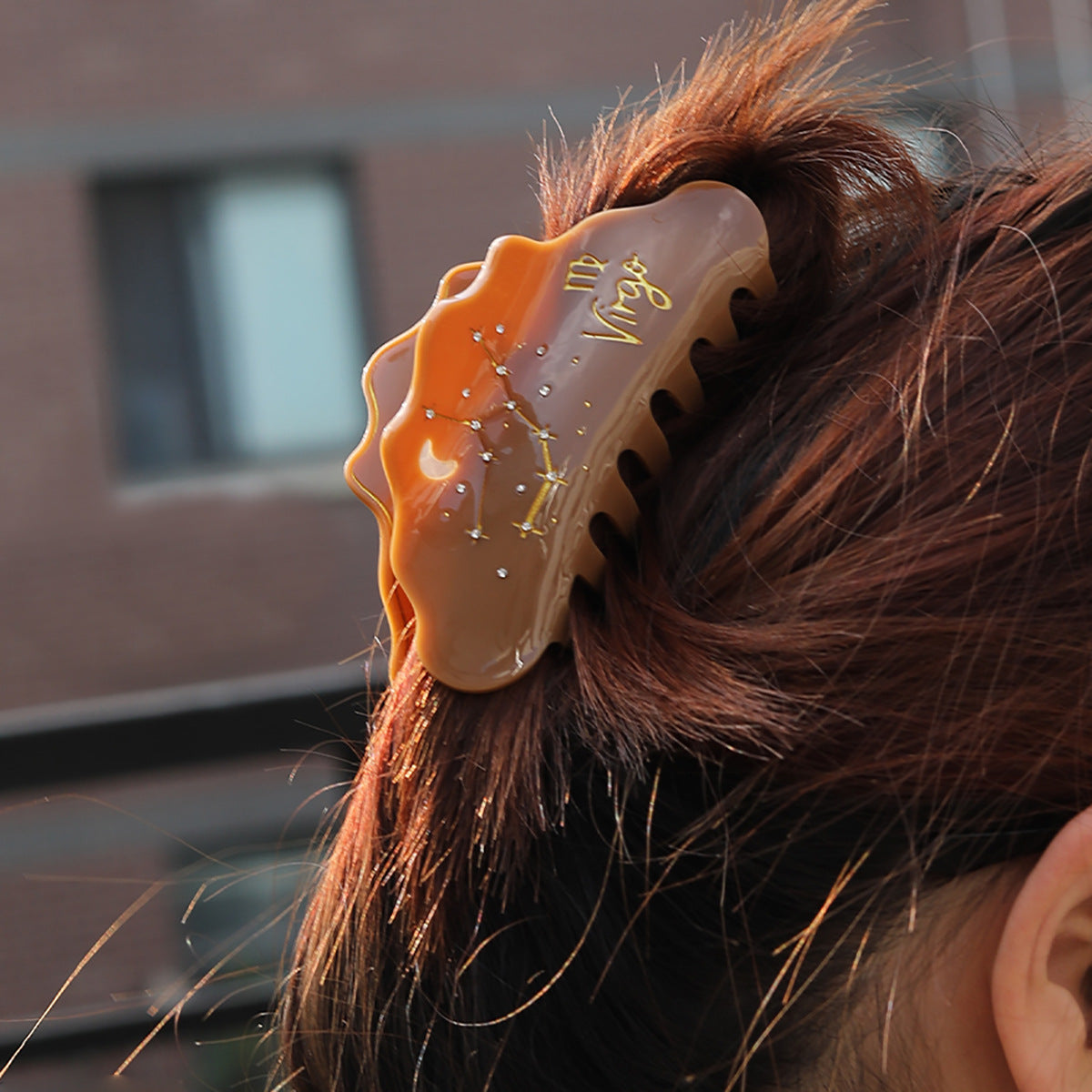 Cross-Border E-Commerce Twelve Zodiac Hairpin Temperament Shark Clip Acetate New Hot Sale