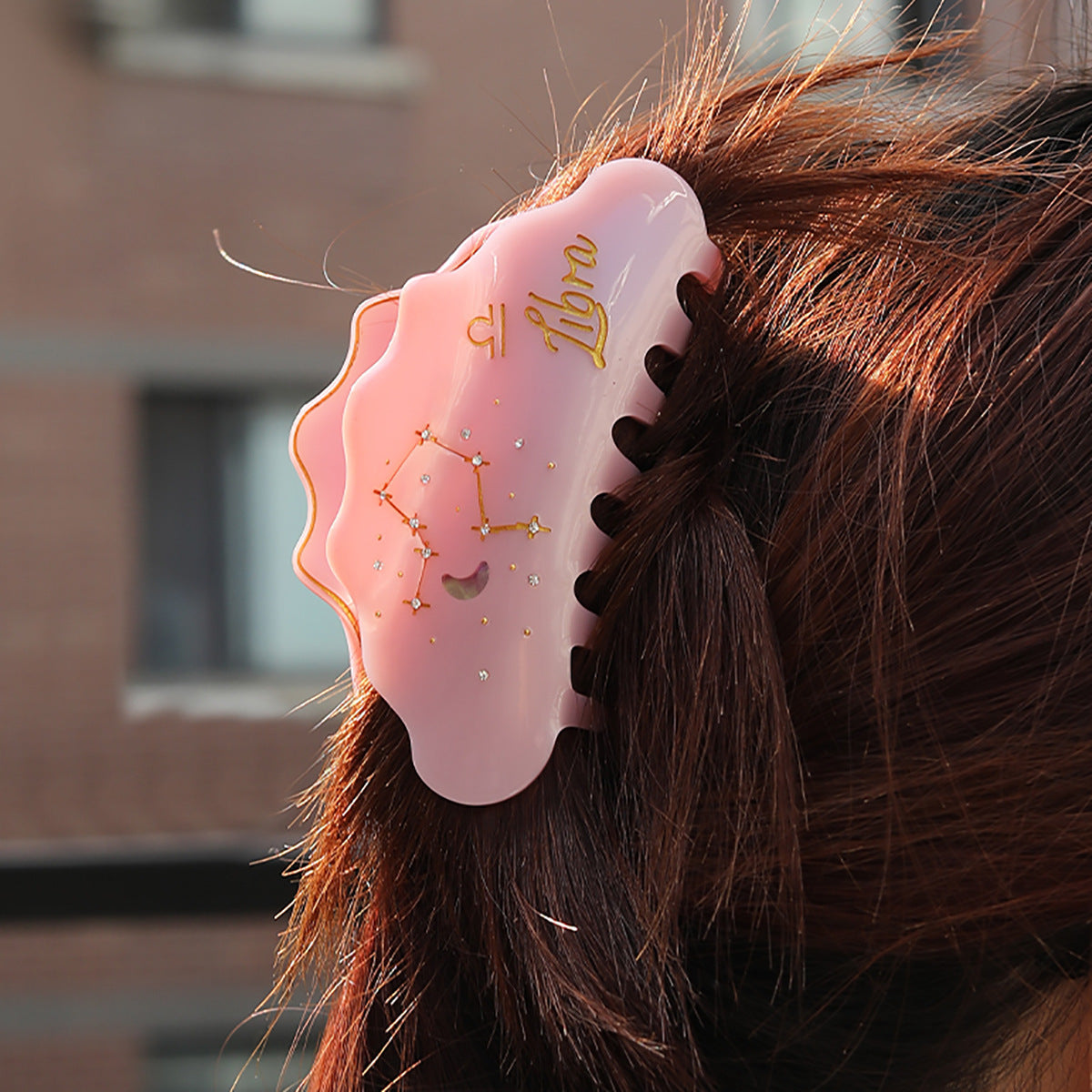 Cross-Border E-Commerce Twelve Zodiac Hairpin Temperament Shark Clip Acetate New Hot Sale