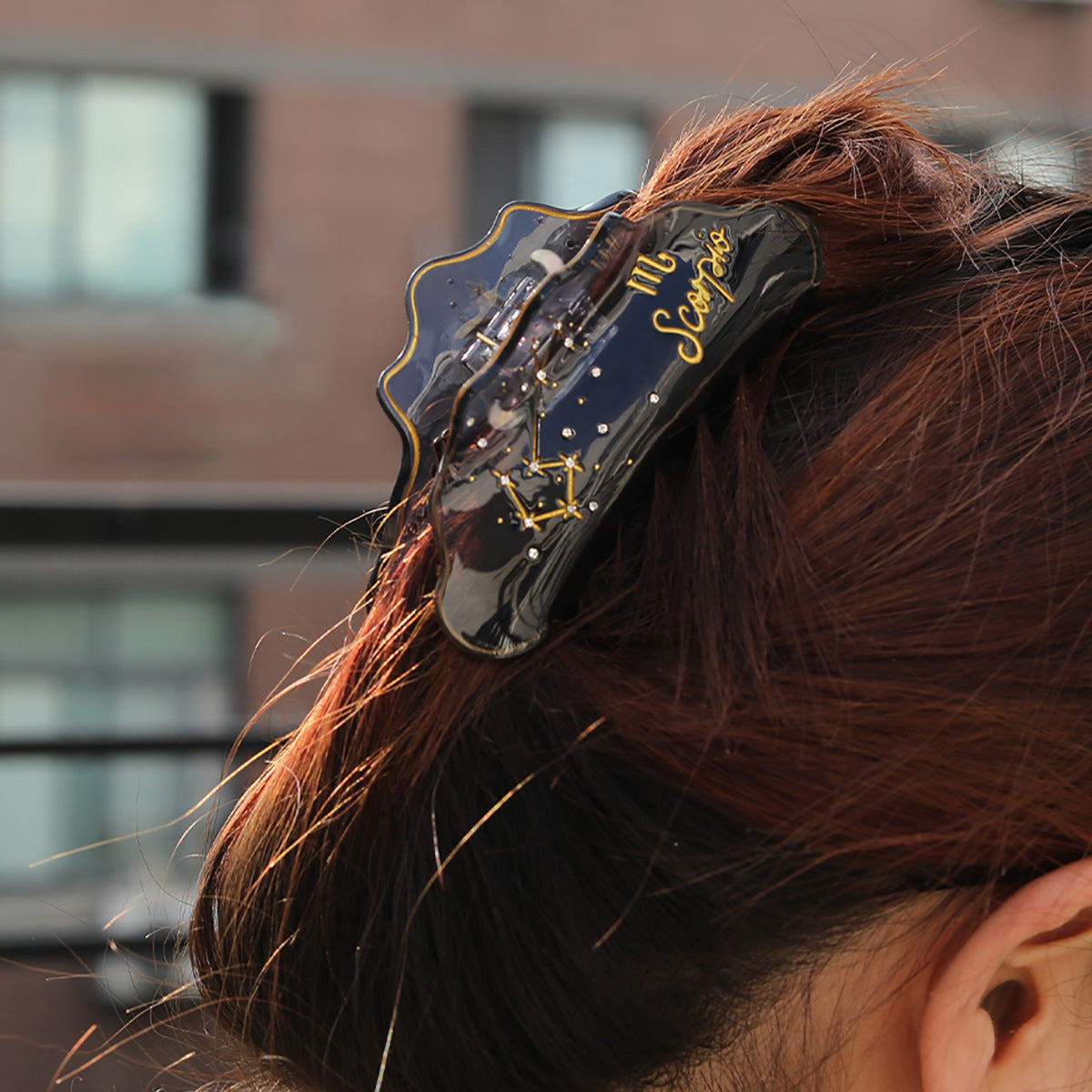Cross-Border E-Commerce Twelve Zodiac Hairpin Temperament Shark Clip Acetate New Hot Sale
