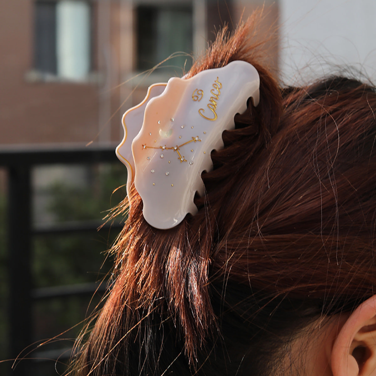 Cross-Border E-Commerce Twelve Zodiac Hairpin Temperament Shark Clip Acetate New Hot Sale